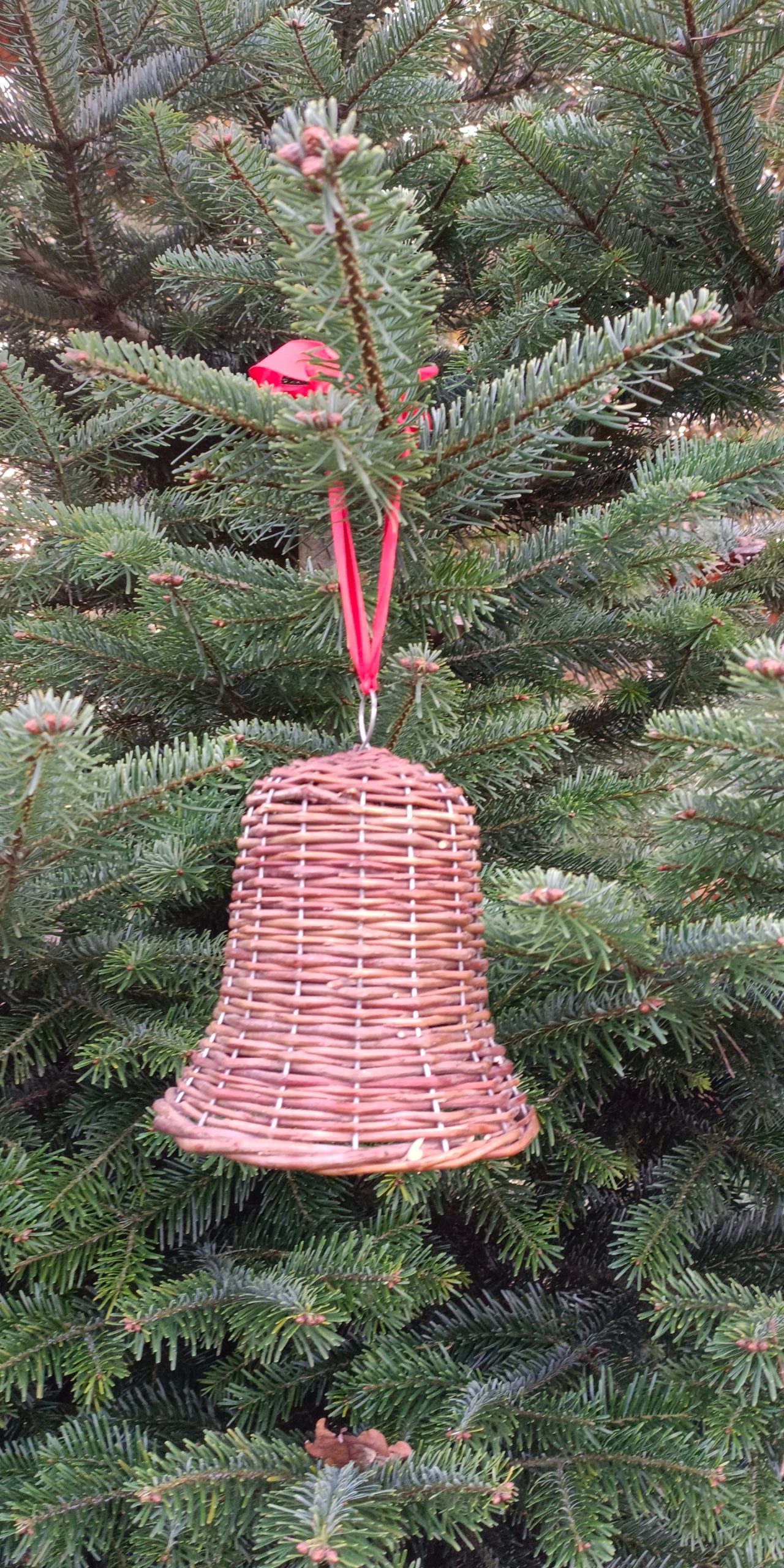 Weihnachtsbäume